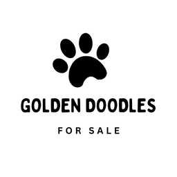 Clip art image representation for Golden Doodle Pups project